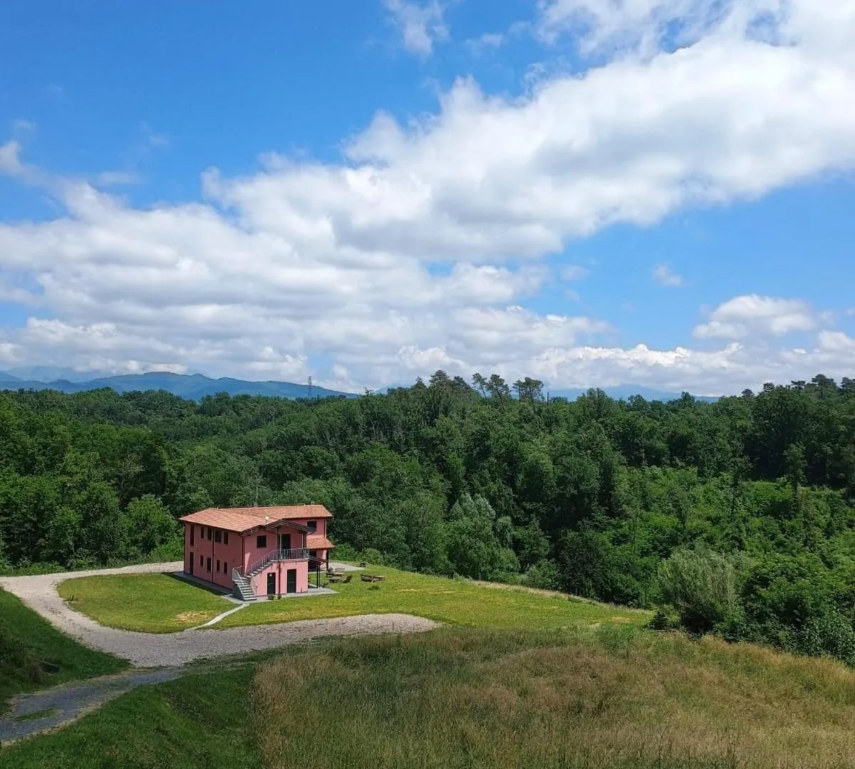 Dalla Gina E Paolino B&B アウッラ イタリア