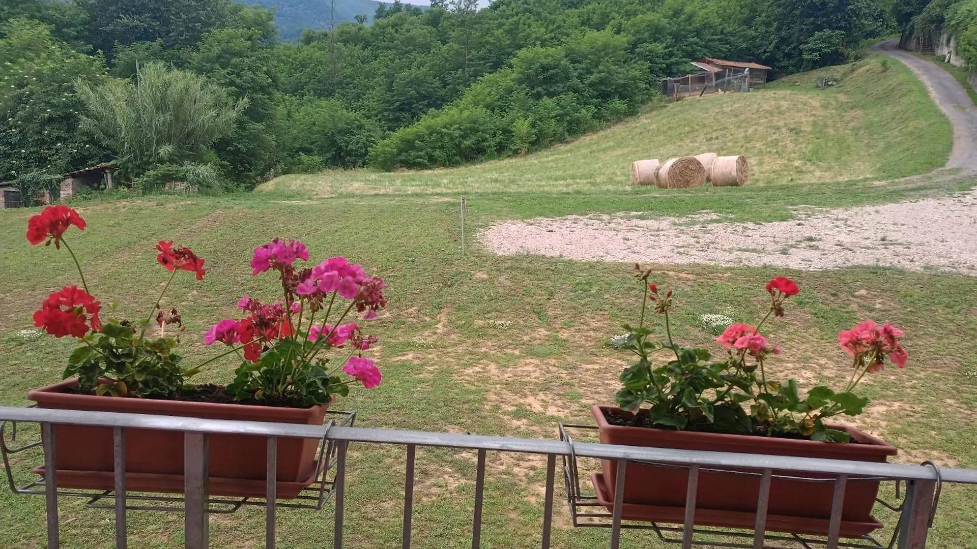ゲストハウス Dalla Gina E Paolino B&B アウッラ