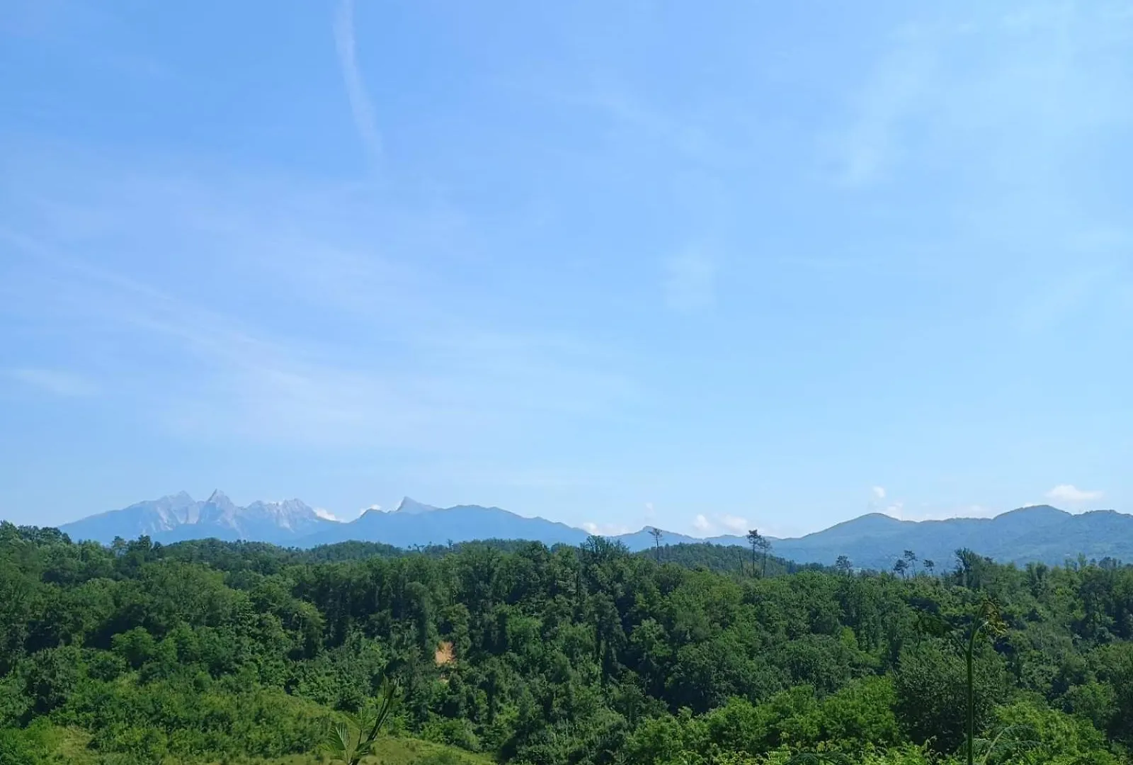Guest house Dalla Gina E Paolino B&B Aulla Italy